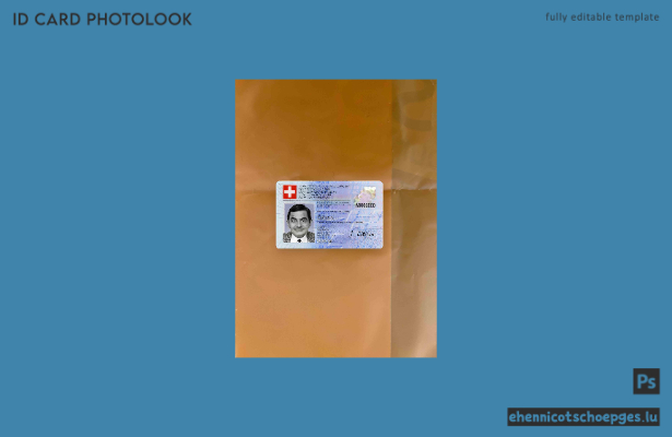 Schweizer Ausweis-Fotolook-Beispielvorschau
